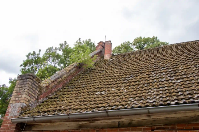 An old pitched roof covered in moss and algae, with visible signs of wear, including broken and discoloured roof tiles. A damaged brick chimney and a small tree growing out of the structure suggest neglect and the need for repairs. The background consists of green trees and an overcast sky.